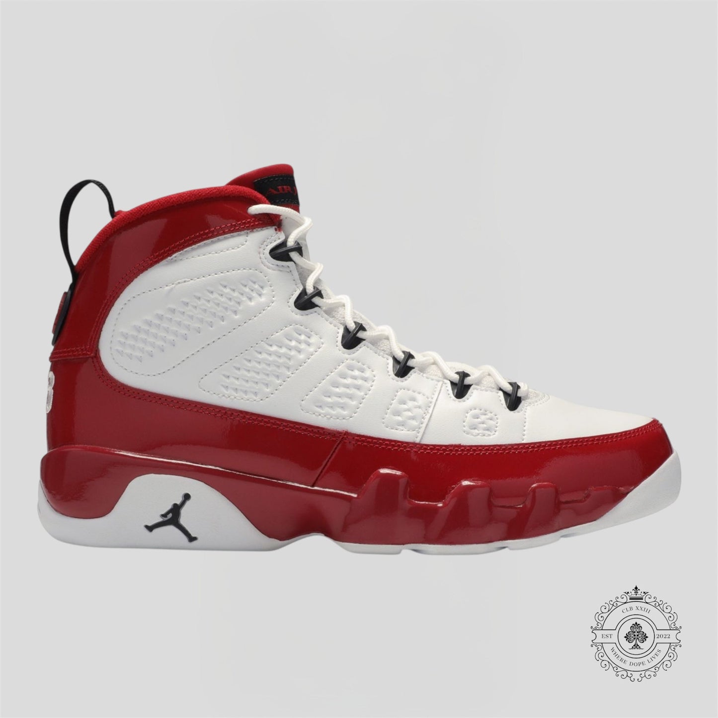 Air Jordan 9 Retro White Gym Red