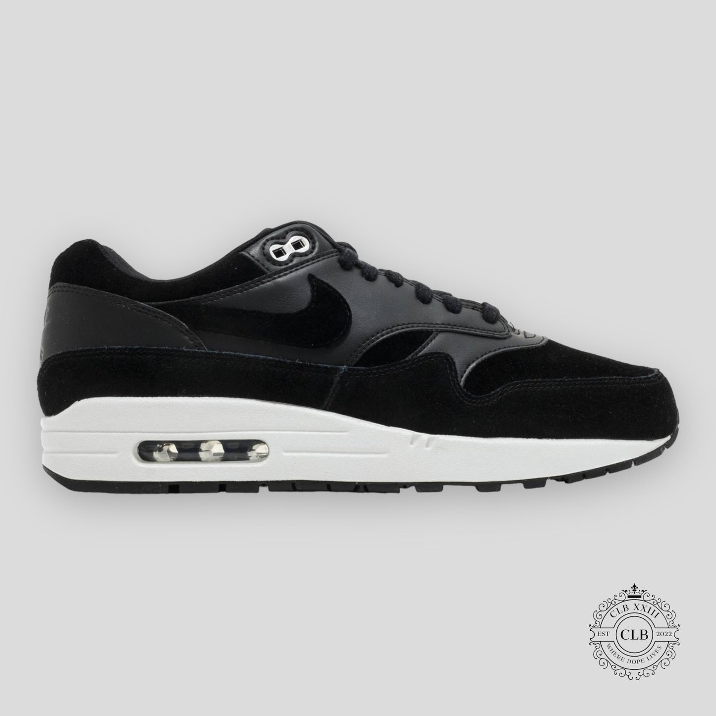 NIKE AIR MAX 1 "REBEL SKULLS"