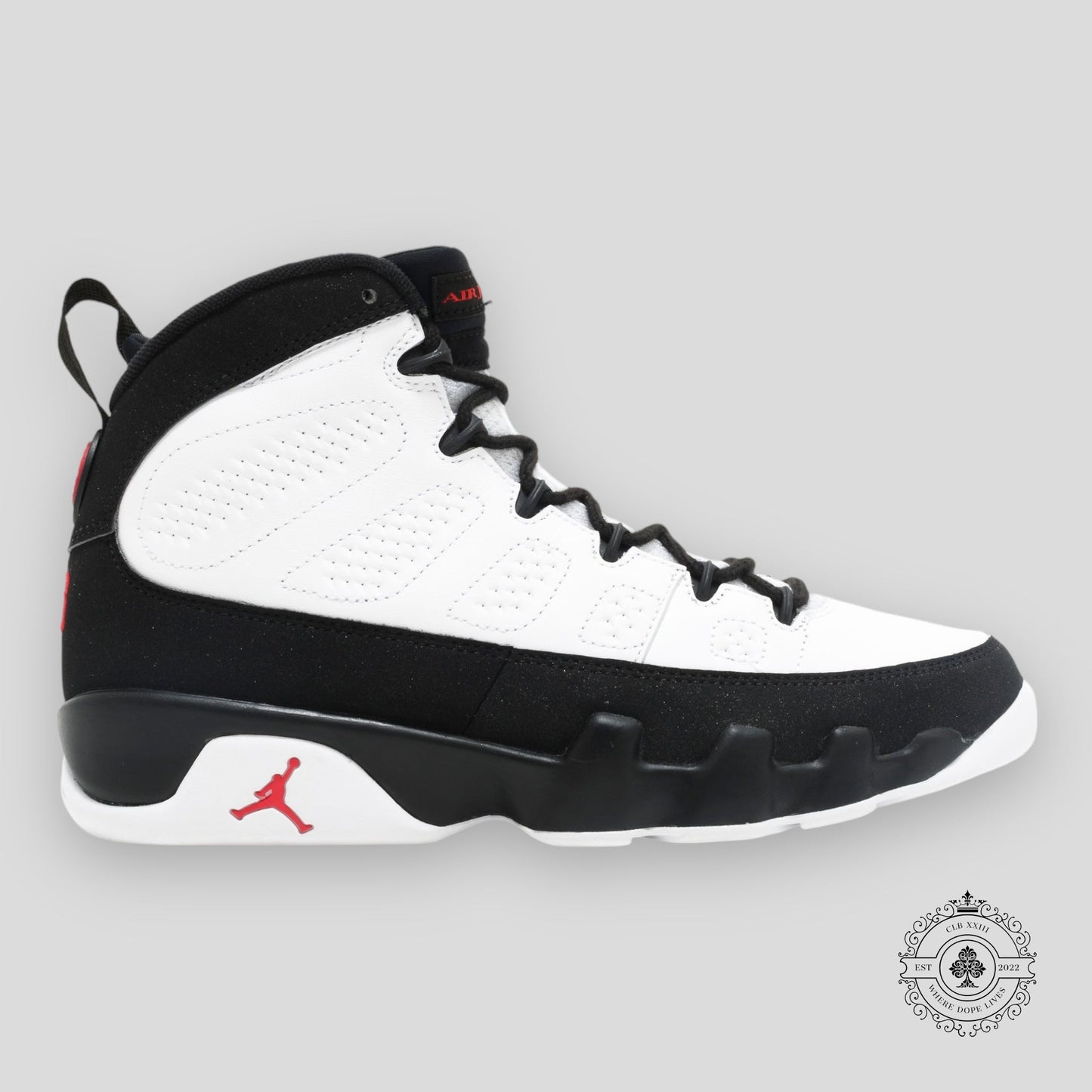 Air Jordan 9 Retro OG Space Jam