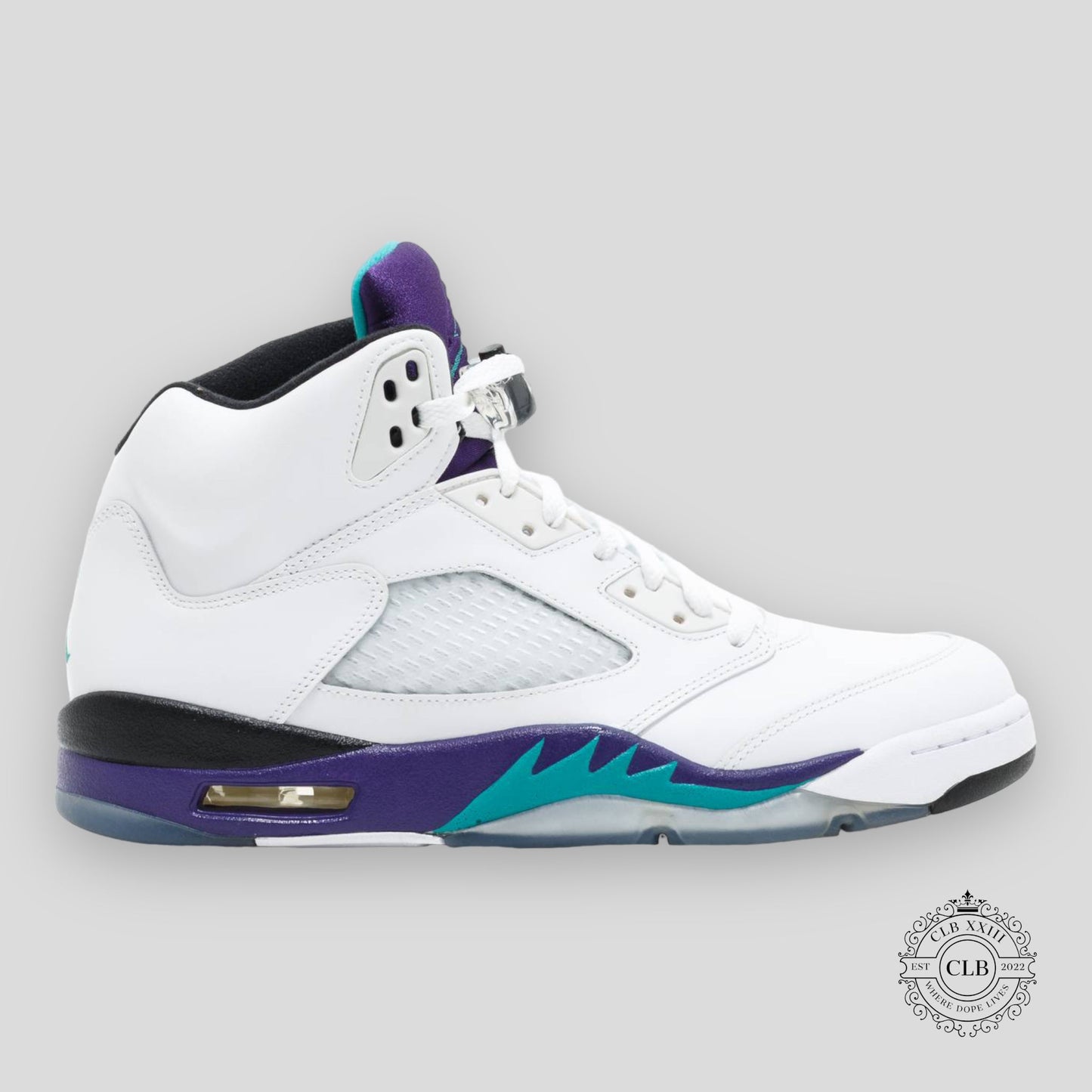 AIR JORDAN 5 RETRO "GRAPE"